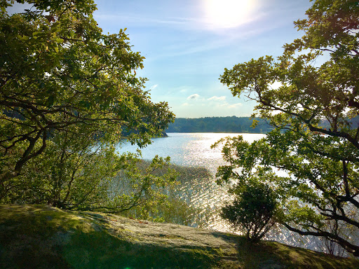 Gunnebo Park - Bus stop in Sweden