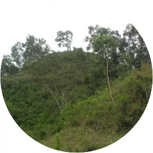 Gunung Kucir