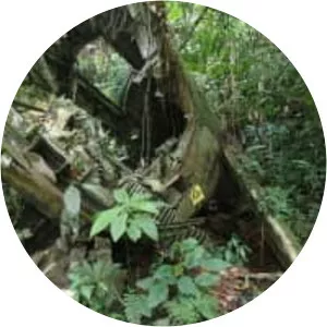 Gunung Telapak Burok