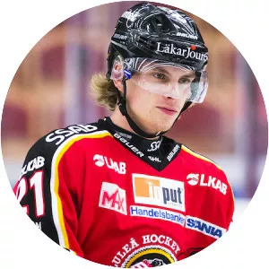 Gustav Willman Borvik