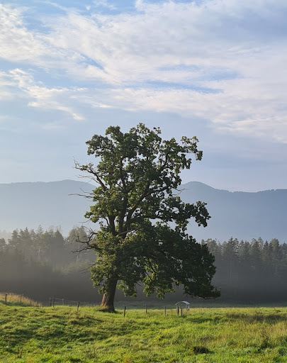 Gut Nantesbuch - Organic farm in Bad Heilbrunn, Germany