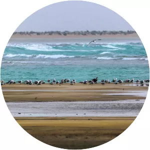 Gwadar Bay - Gulf in Pakistan