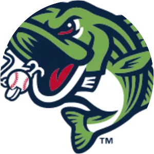 Gwinnett Stripers