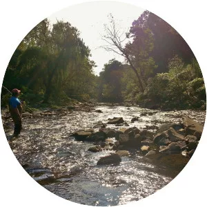 Gwynns Falls - Stream in Maryland