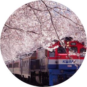 gyeonghwayeog慶和火車站 an min go gae