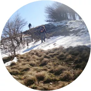 Gyumyurdzhinski Snezhnik