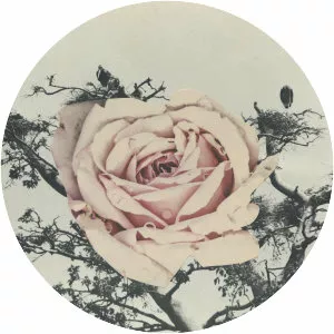 H Grimace - Musical artist