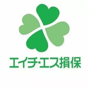 H. S. Insurance Co. , Ltd.