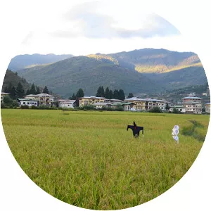 Haa - Song by Batuflex