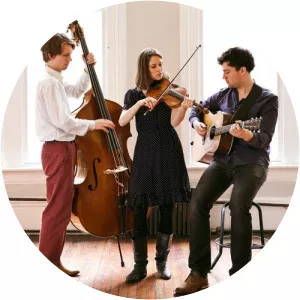 Haas Kowert Tice - Musical band