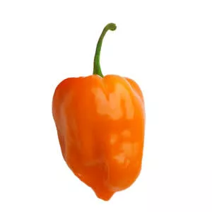Habanero