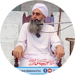 Habibullah Ahmad Naqshbandi