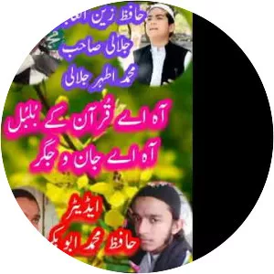 Hafiz Zain Ul Abideen - Musical artist