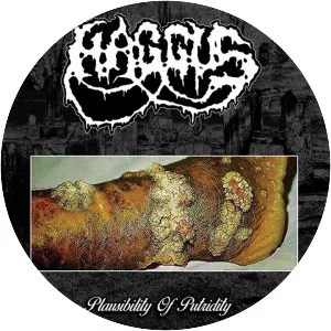 Haggus - Musical group