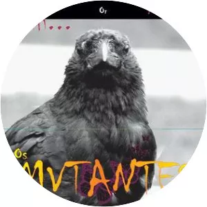 Haih Or Amortecedor - Studio album by Os Mutantes