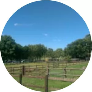 Hainault Forest Country Park - 