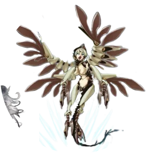 Hainuwele photograph