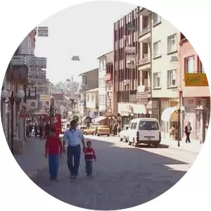 Hakki Terzioglu - Sevket Dogan - Sinasi Güngörür - Musical artist