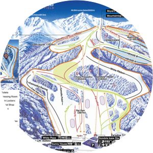 Hakuba Iwatake Snow Field - 