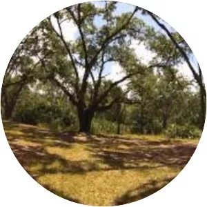 Hal Scott Regional Preserve and Park