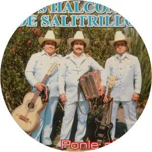 Los Halconesde Salitrillo