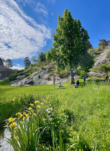 Halden Montessori School