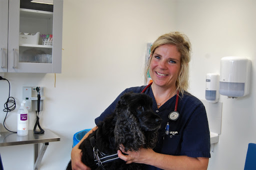Hallands Djursjukhus Varberg - Veterinarian in Sweden