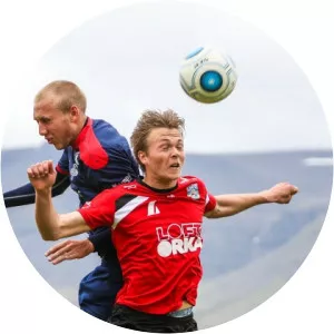 Halldór Jón Sigurður Þórðarson