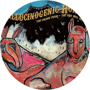 Hallucinogenic Horses - Musical group