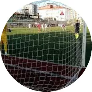Haluk Türkeri - Turkish football player