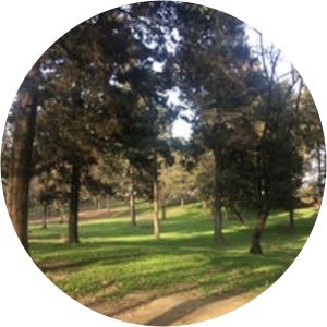 Halumsar Forest Park Haloomsar - 