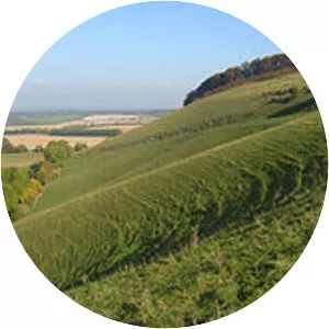 Ham Hill, Wiltshire - 