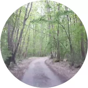 Hamam Lake - Lake in Turkey