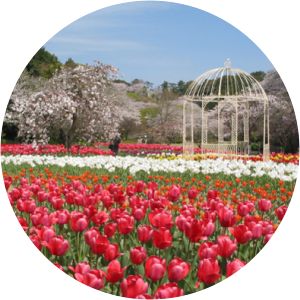 Hamamatsu Flower Park