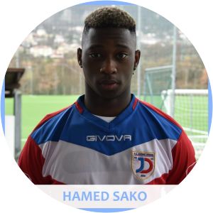 Hamed Sako