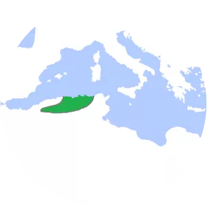 Hammadid dynasty photograph