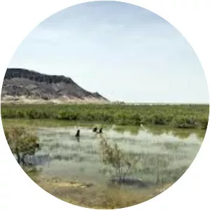 Hamoun-e Puzak - Lake in Afghanistan