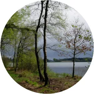 Hampen Sø - Lake in Denmark