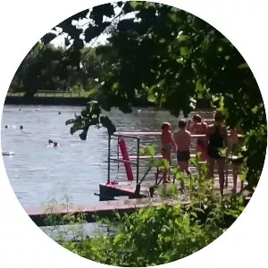 Hampstead Heath Ponds