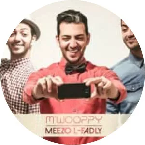 Hamza El Fadly - Musical artist