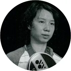 Han Aiping