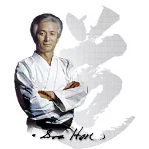 Han Bong-soo - Budo artist