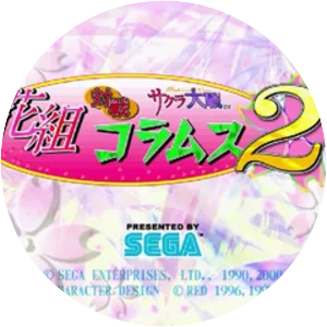 Hanagumi Taisen Columns 2 - Video game