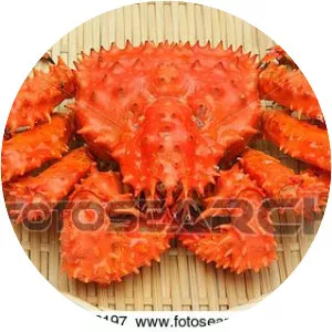 Hanasaki Crab - Animal