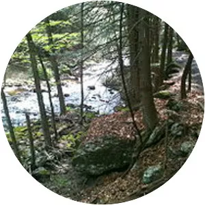 Hancock Brook Trail - 