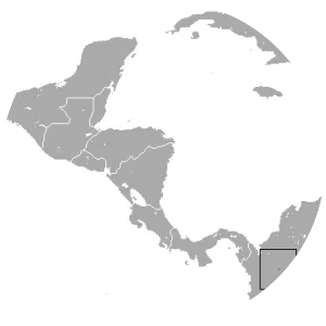 Handley's slender opossum