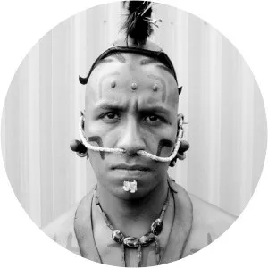 Hanging Moss Apocalypto