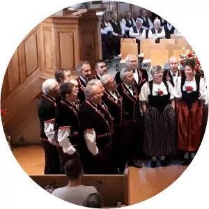 Hannes Fuhrer Musician