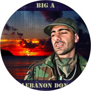 Hanouneh - Musical artist