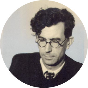 Hans van Werveke - Historian